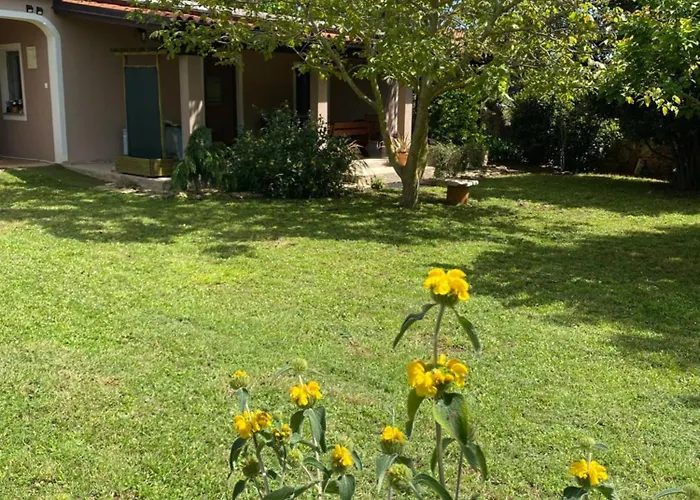 Διαμέρισμα 